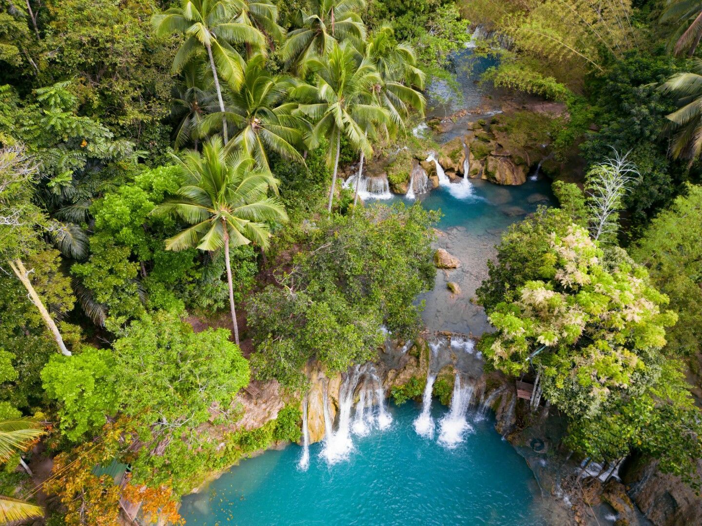 Beauté des îles Visayas - 12 jours / 9 nuits - Privatif pas cher