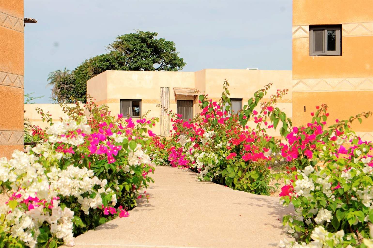 Hôtel King Baobab Lodge 4* pas cher photo 6