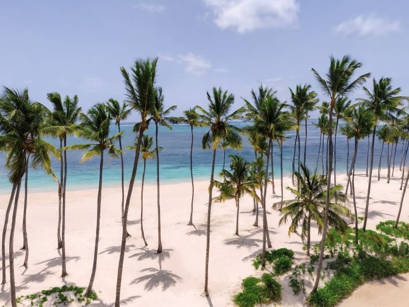 Hyatt Vivid Punta Cana 5* - Adults only pas cher photo 9
