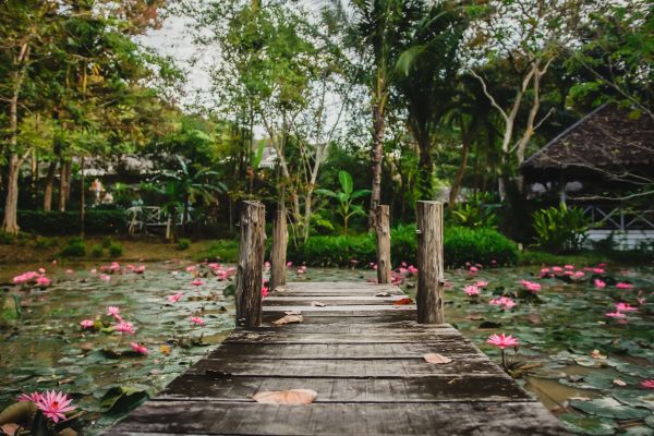 Koh Yao Noi, Paradise 4* - Vols Flex pas cher photo 13