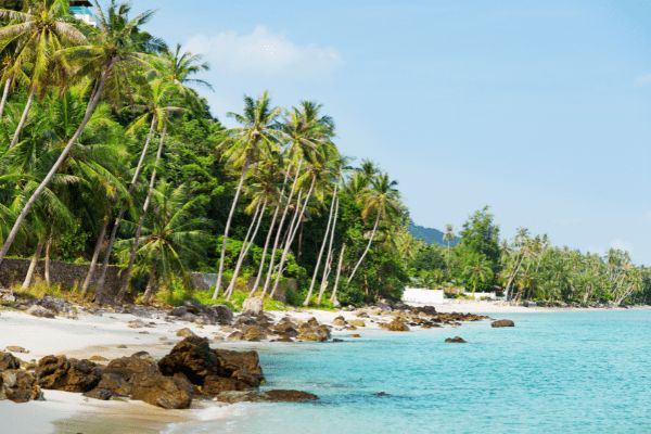 Koh Samui, Melati Beach Resort & Spa 5* - Vols Flex pas cher photo 1