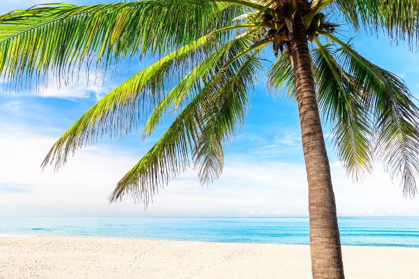 Phuket, Centara Grand Beach Phuket 5* - Vols Flex pas cher photo 1