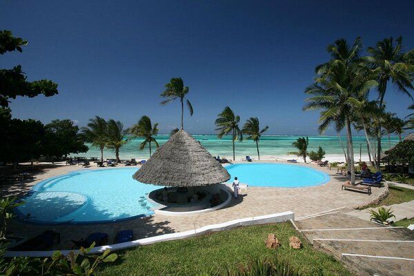 Zanzibar, Karafuu Beach Resort and Spa 5* - vols Flex pas cher photo 11