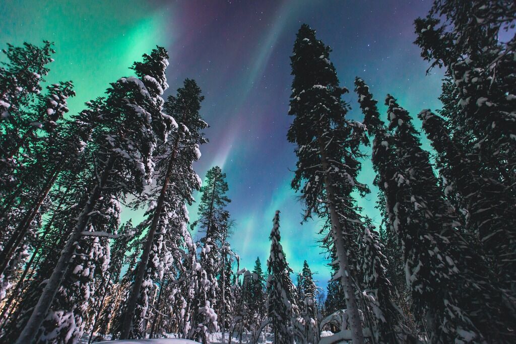 Séjour multi activités à Suomu en chalet Suomutunturi 5 jours/ 4 nuits pas cher photo 4