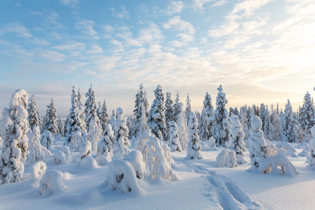Séjour multi activités à Suomu en chalet Suomutunturi 5 jours/ 4 nuits pas cher photo 5