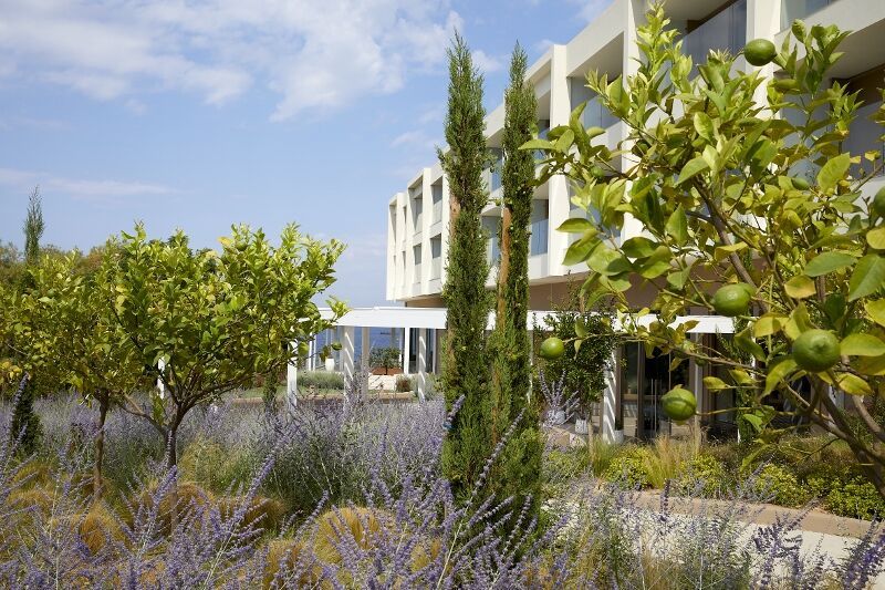 Vincci Evereden Beach Resort 4* pas cher photo 4