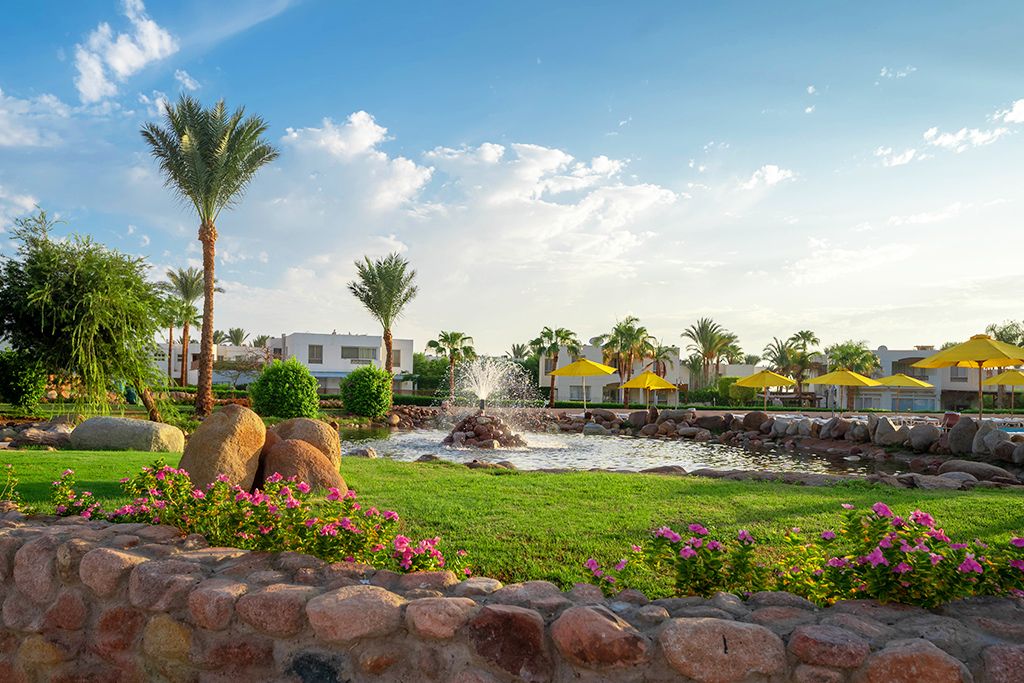 Hôtel Aurora Oriental Resort 5* pas cher photo 5