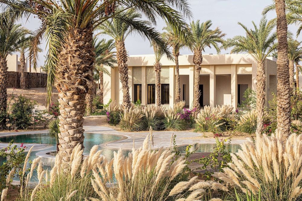 Hôtel The Mora Sahara Tozeur 4* pas cher photo 1