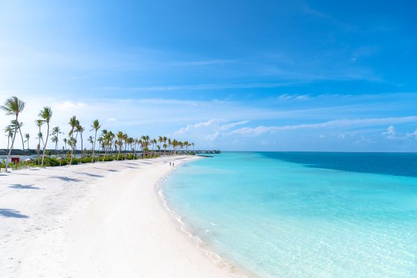Maldives, Joy Island 5* - Vols Flex pas cher photo 30