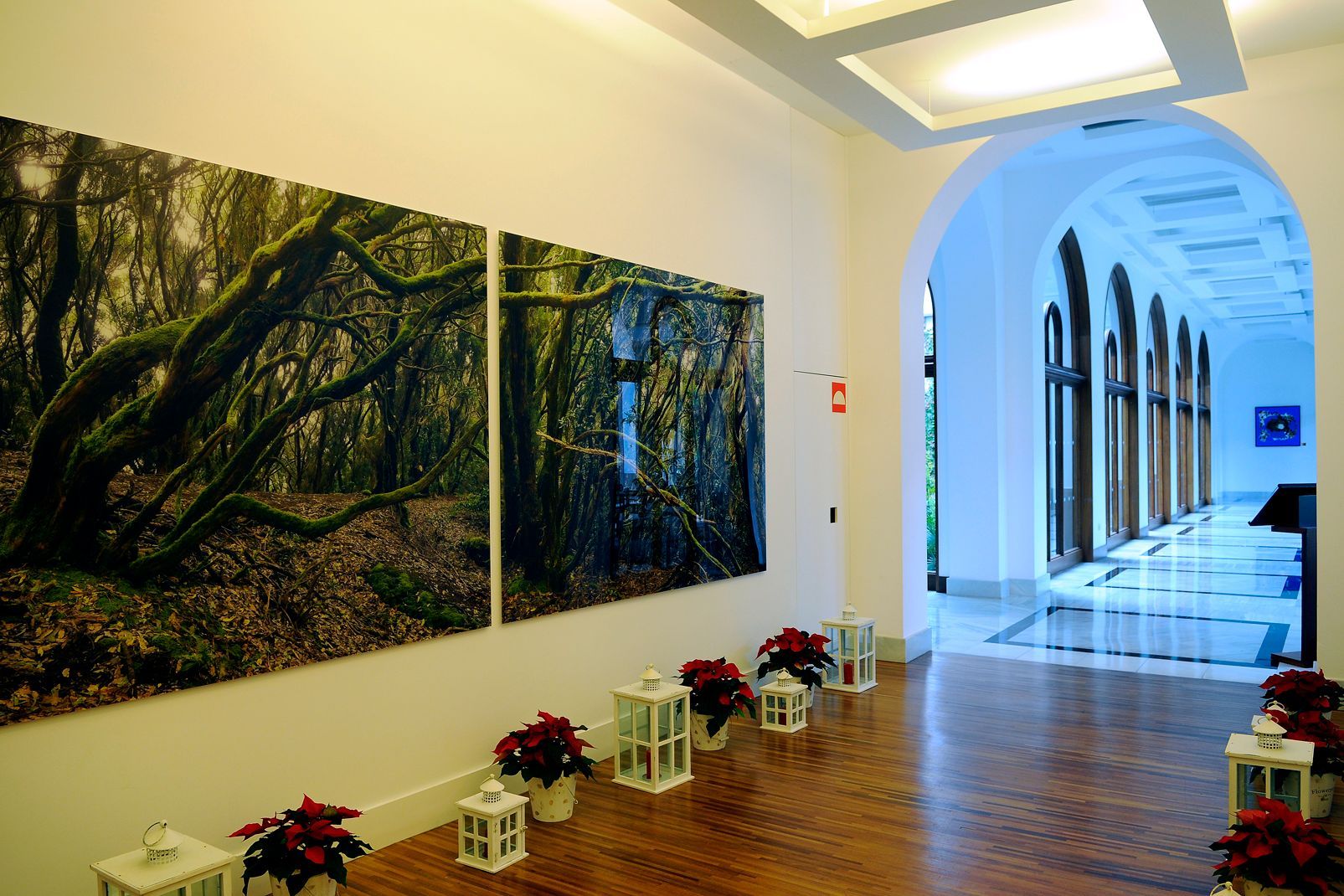 Hôtel Iberostar Heritage Grand Mencey 5* pas cher photo 19