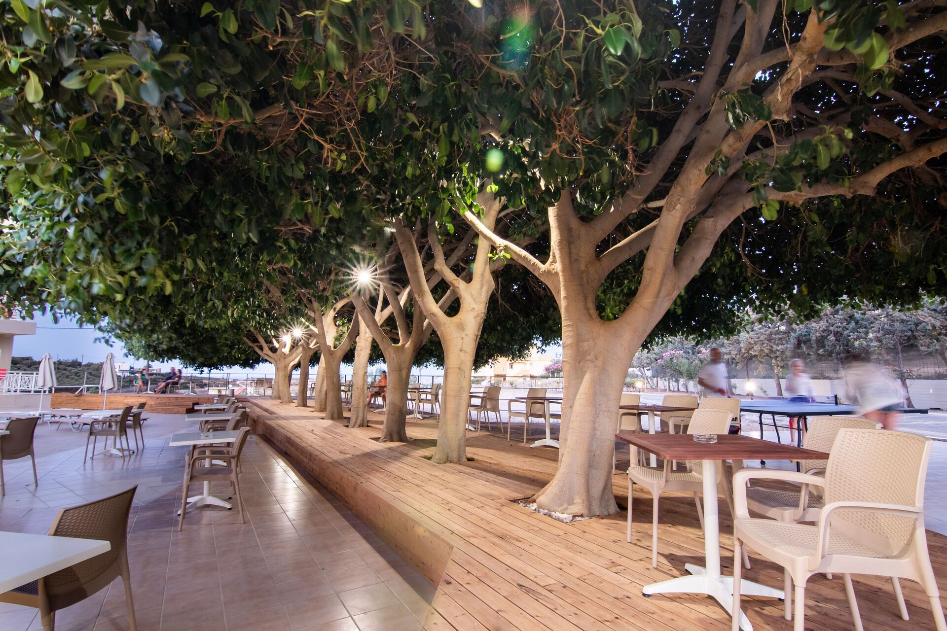 Chrissy's Paradise 3* pas cher photo 5