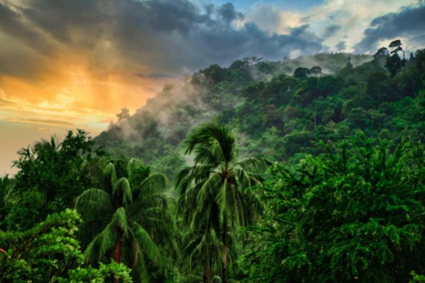 Phuket, Phuket Orchid Resort 4* - Vols Flex pas cher photo 11