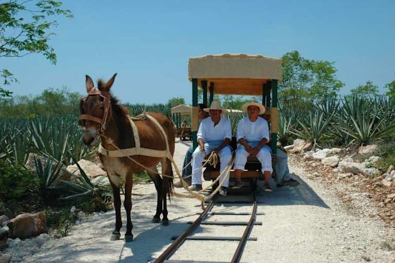 Le Yucatan en Haciendas - 4* pas cher photo 22