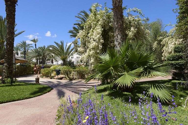 Hôtel Djerba Resort 4* pas cher photo 15