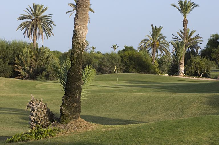Hôtel Yadis Djerba Golf Thalasso et Spa 5* pas cher photo 32