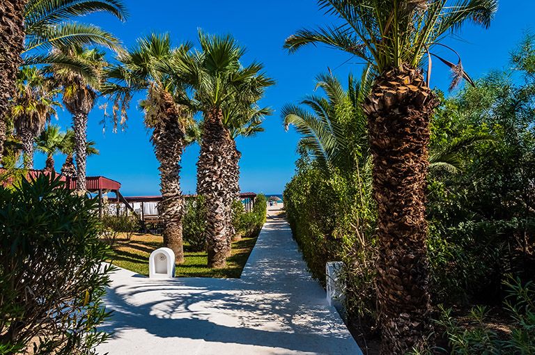Hôtel Yadis Hammamet 4* pas cher photo 22