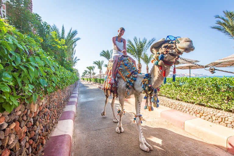 Sunny Days El Palacio Resort & Spa - 4* pas cher photo 18