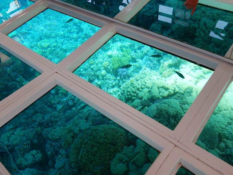 Charmillion Gardens Aqua Park avec tour en bateau à fond de verre inclus - 5* pas cher