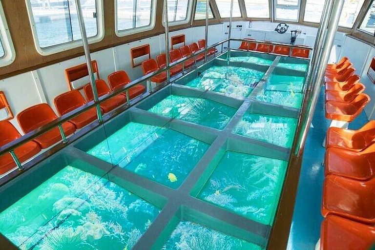 Charmillion Gardens Aqua Park avec tour en bateau à fond de verre inclus - 5* pas cher photo 15