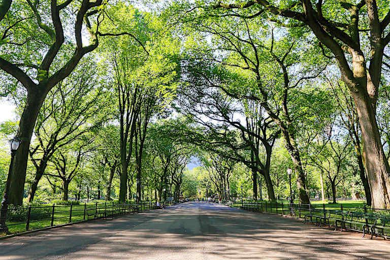 WestHouse Hotel 5* & Visite guidée à vélo de Central Park pas cher photo 5