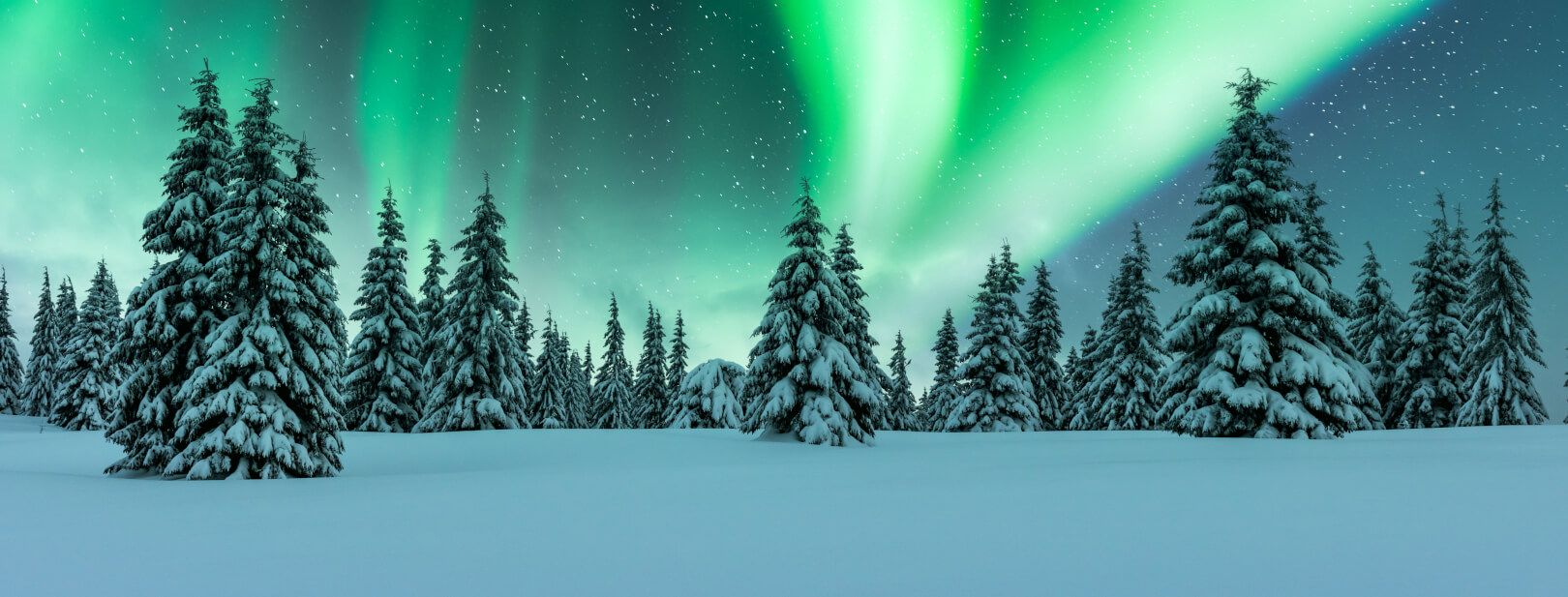 Séjour activités "Parenthèse arctique" Resort Nilimella pas cher photo 5
