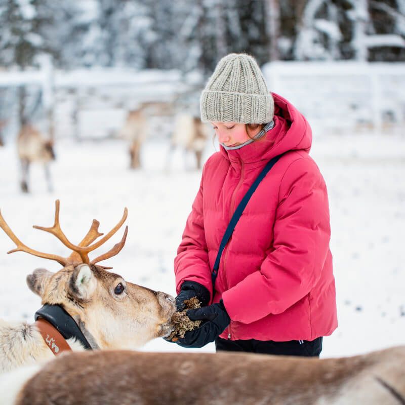 Séjour activités "Parenthèse arctique" Resort Nilimella pas cher photo 12