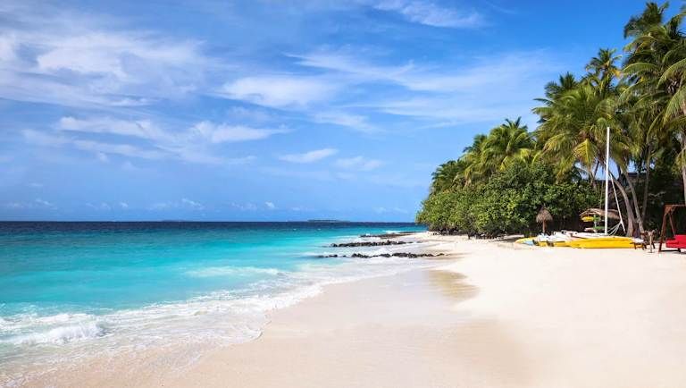 Taj Coral Reef Resort & Spa - 5* pas cher photo 5