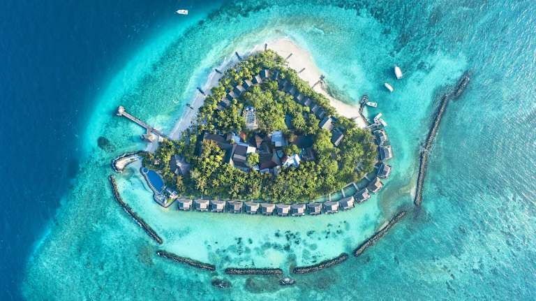 Taj Coral Reef Resort & Spa - 5* pas cher photo 22