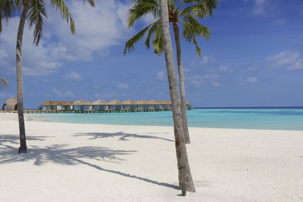 Maldives, Outrigger Maafushivaru 5* - Vols Flex pas cher photo 4
