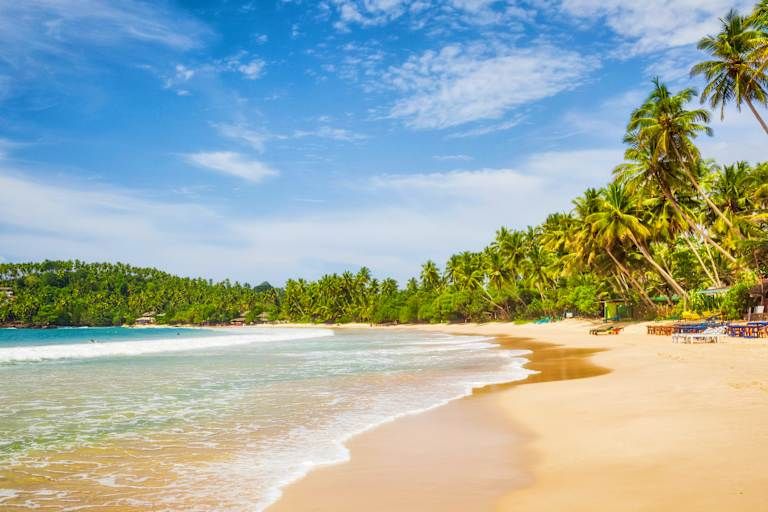RIU Sri Lanka - tout compris - 5* pas cher photo 1