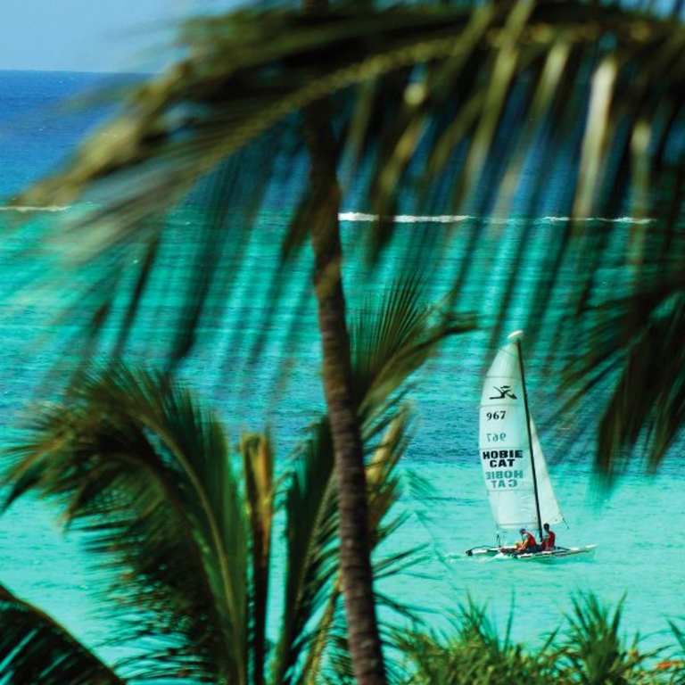 Diamonds Mapenzi Beach - 4* pas cher photo 8