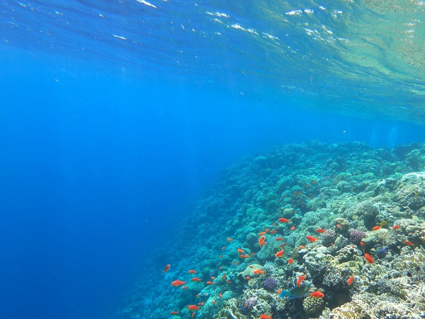 CONTRASTES DU NIL ET DE LA MER ROUGE - Sortie Hurghada - 2027 - 15J/14N pas cher photo 3