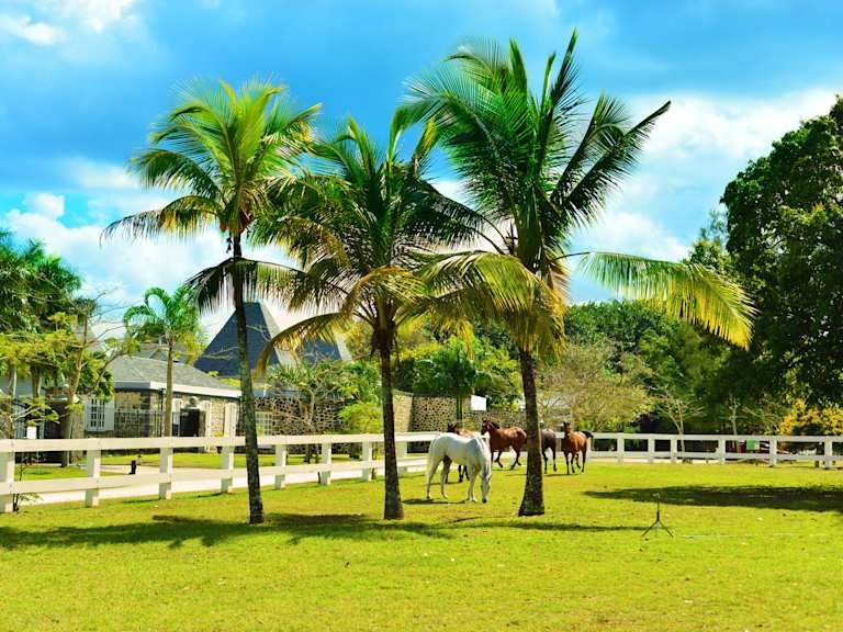 Maritim Resort & Spa Mauritius - 5* pas cher
