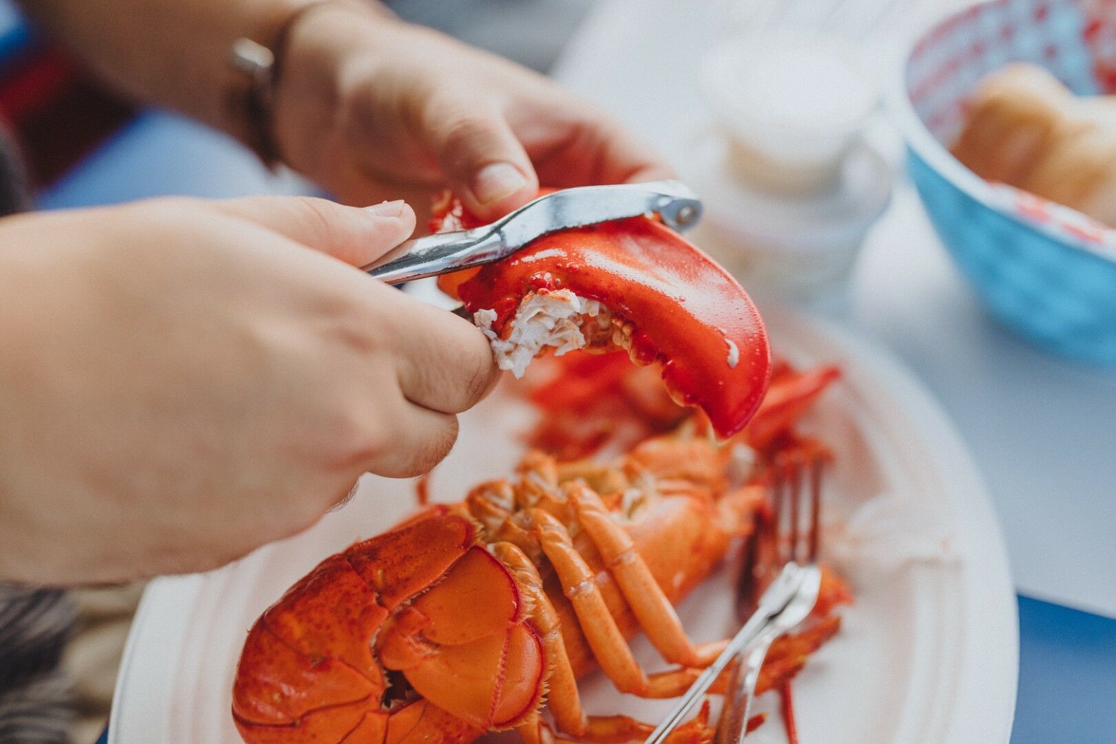 Au Pays du Homard Bleu - 14J/12N - 2027 pas cher photo 6