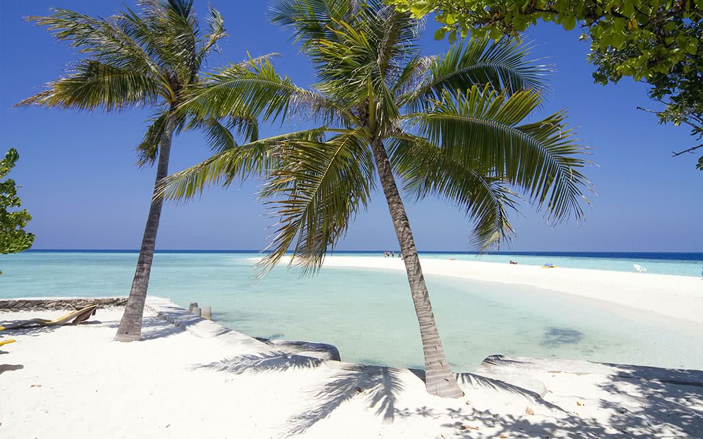 Embudu Village Maldives - tout compris 3* pas cher photo 11