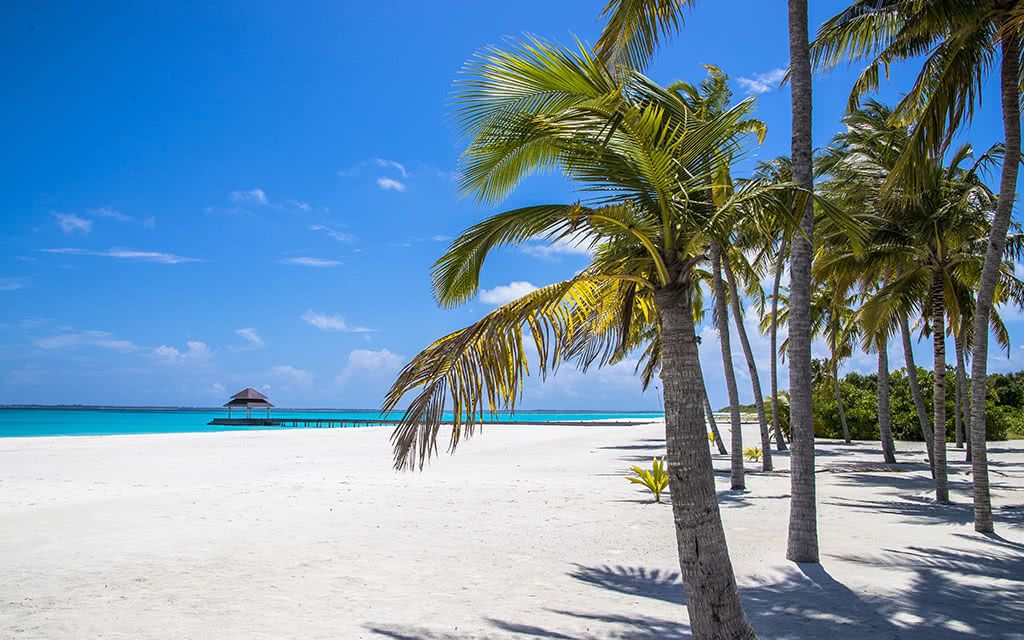 Hondaafushi Island Resort - tout compris 4* pas cher photo 7