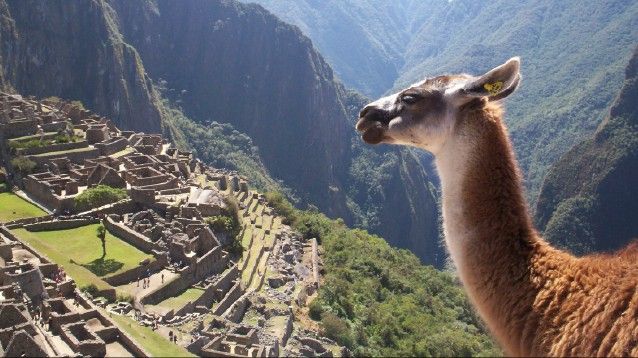 Hola Pérou et Amazonie - 14J/12N - Limité à 20 pers.- 2027 pas cher photo 11