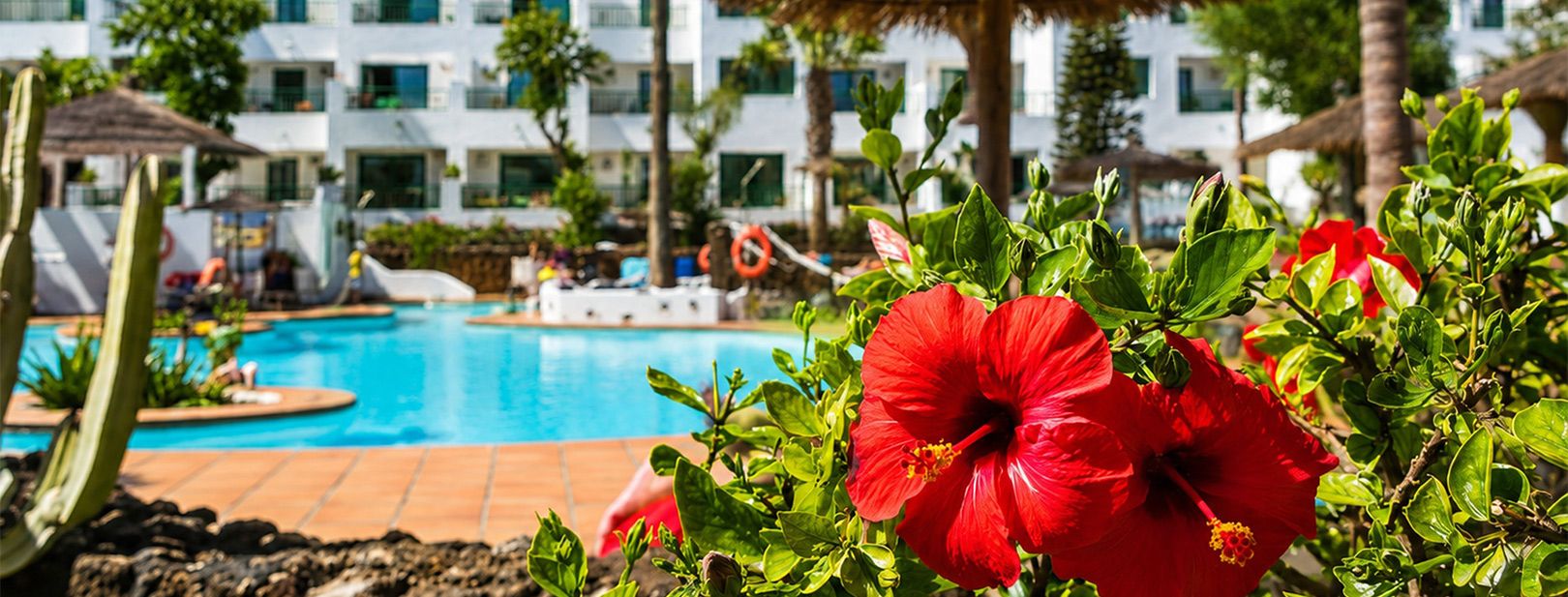 Mondi Club Hôtel Galeon Playa 3* pas cher photo 5