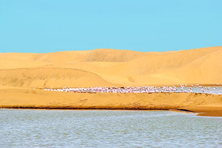 Parcours Namibien - 3* pas cher photo 16