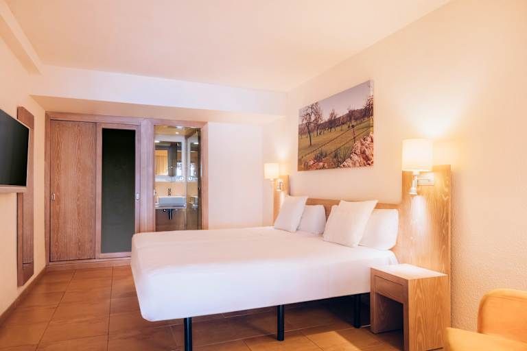 Iberostar Pinos Park - 4* pas cher photo 4