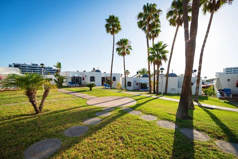HD Parque Cristobal Tenerife - 3* pas cher photo 17