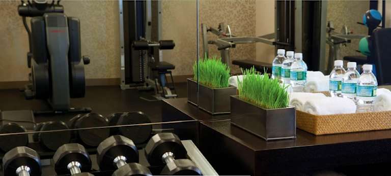 The Shelburne Sonesta New York - 4* pas cher photo 8
