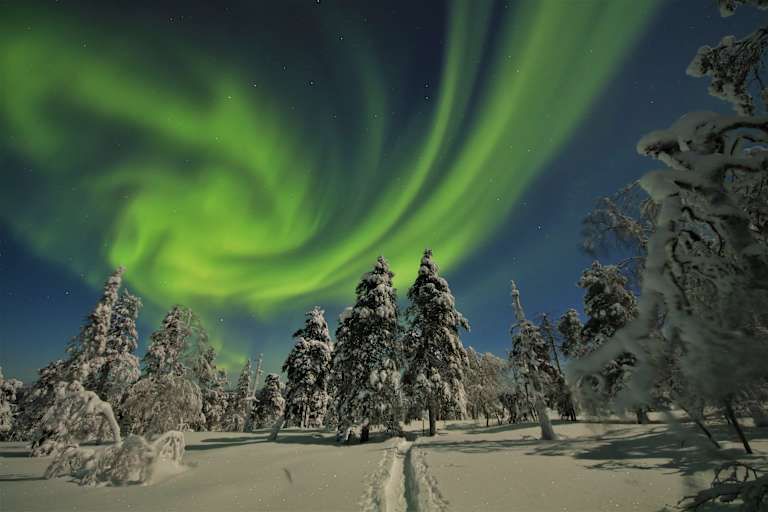 Scandic Rovaniemi City avec activités incluses pas cher photo 5