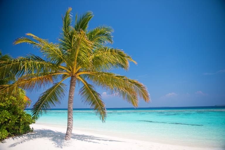 Coco Palm Dhuni Kolhu - 5* pas cher photo 3