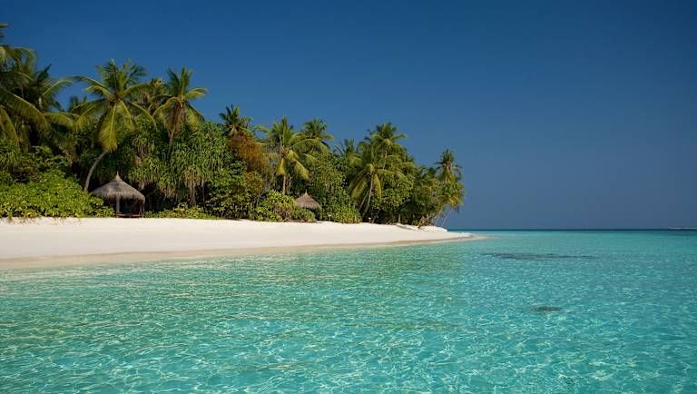 Coco Palm Dhuni Kolhu - 5* pas cher photo 4