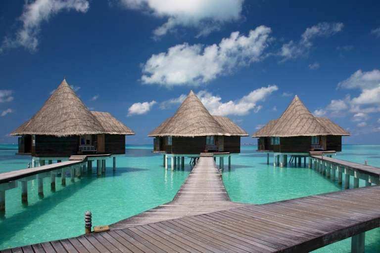 Coco Palm Dhuni Kolhu - 5* pas cher photo 9