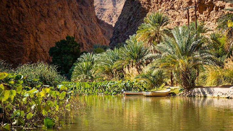 Les essentiels d'Oman - 4* pas cher photo 6