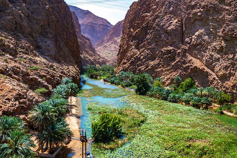 Les essentiels d'Oman - 4* pas cher photo 9