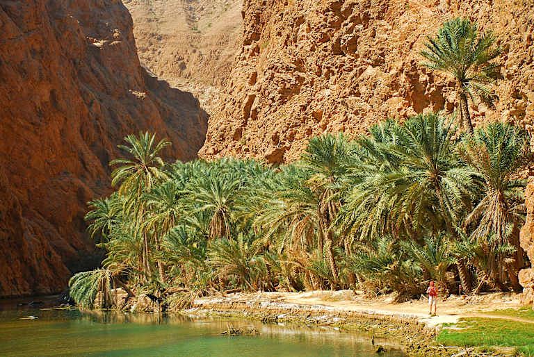 Les essentiels d'Oman - 4* pas cher photo 17