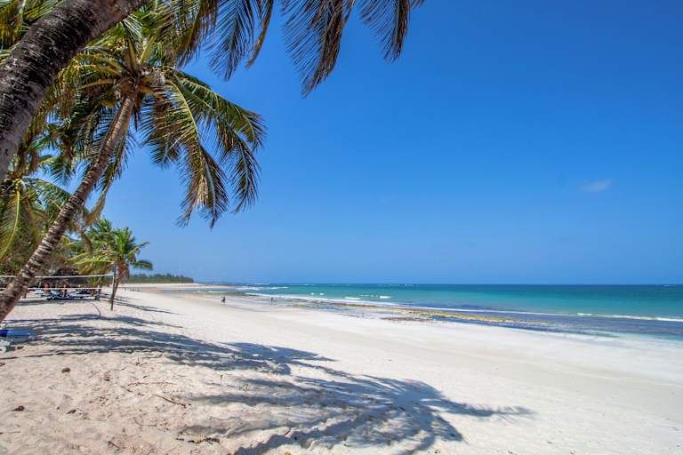 Des hauteurs du Kilimandjaro aux plages de Diani de la Tanzanie au Kenya - 3* pas cher photo 3